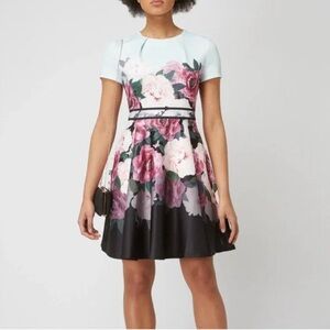 TED BAKER Wilmana Magnificent Skater Dress in mint floral print